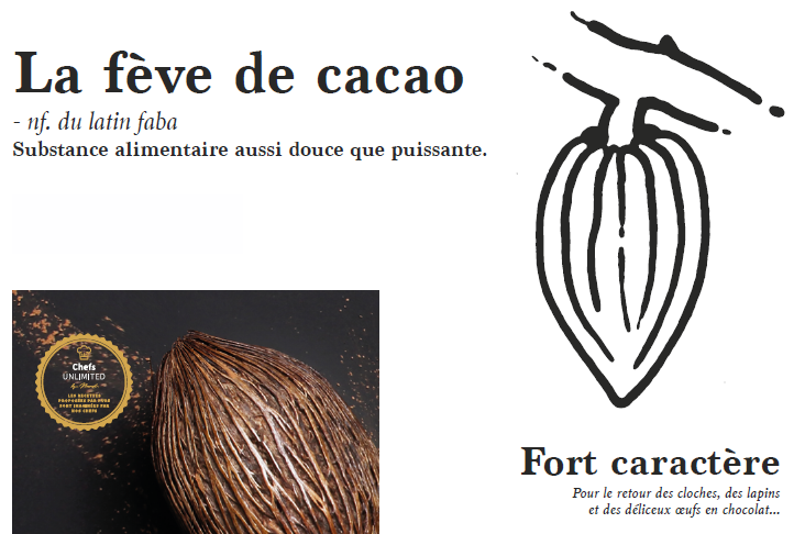 Dégustation Fève de Cacao