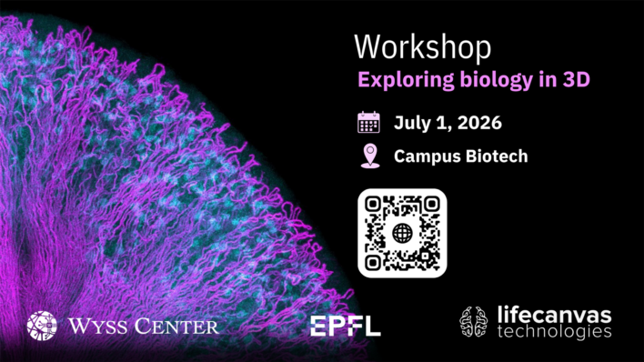 Workshop: Exploring biology in 3D